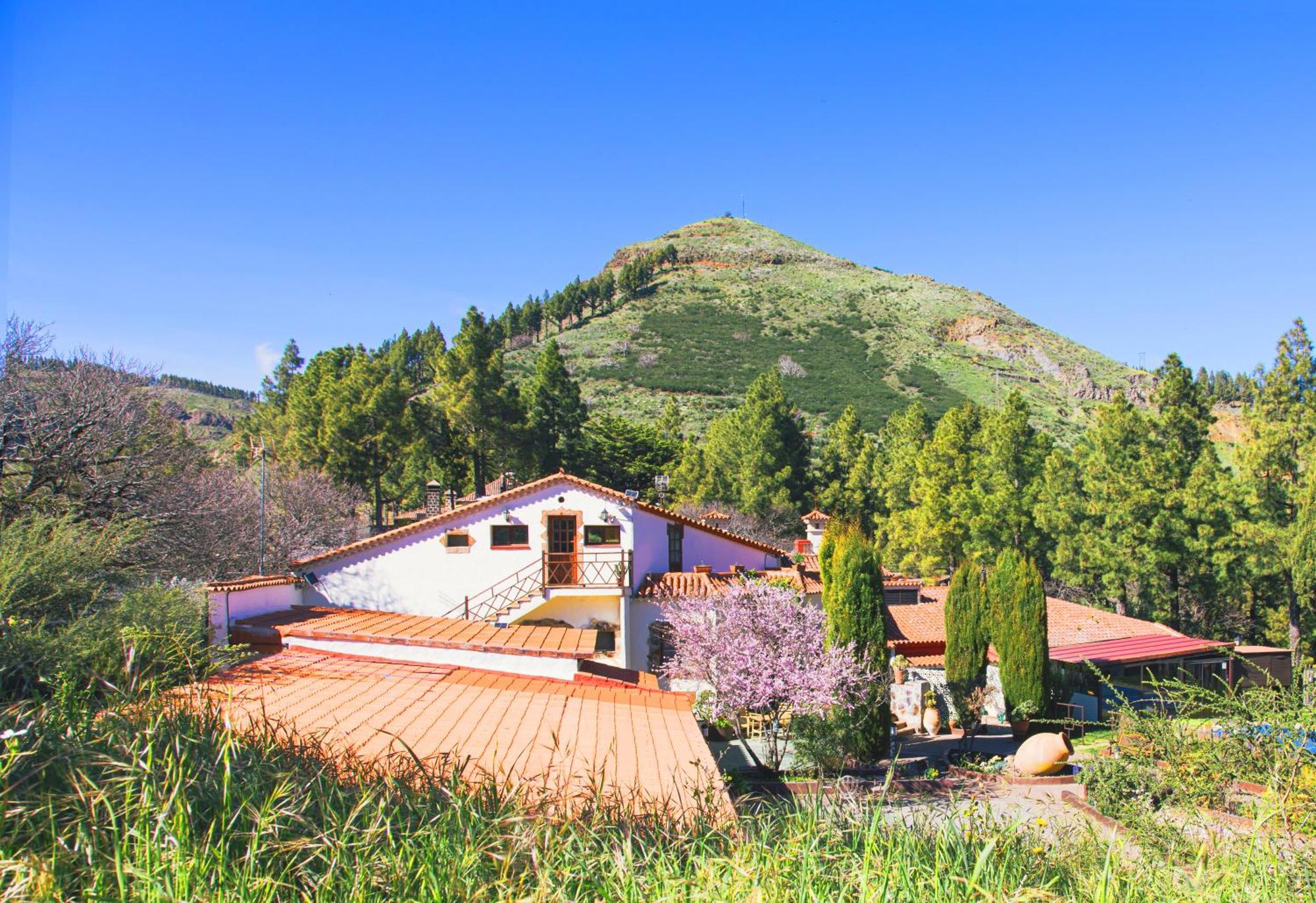 Hotel Rural El Refugio - Adults Only Крус-де-Техеда Экстерьер фото